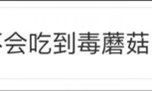 云南大象会不会吃到毒蘑菇?专家:没必要担心,它们分得清